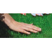 Gazon Mini Turfline, sac 7,5 kg