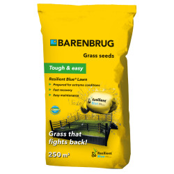 Gazon Barenbrug Resilient Blue Lawn Yellow Jacket, sac 5 kg