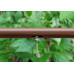 Tub picurare cu compensare Rain Bird/ m